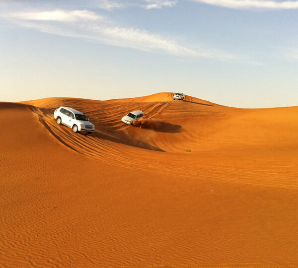 Land cruiser desert safari