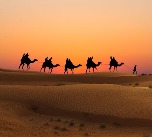 Evening camel riding desert safari