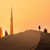 Dubai Finest Top 10 Safari Services: 2024 Update